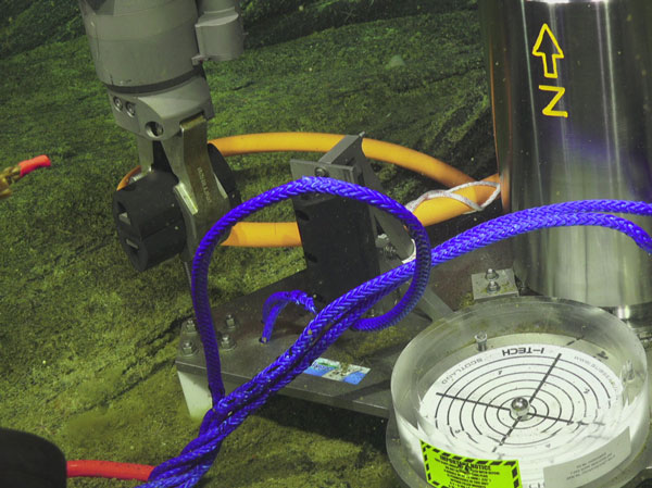 兴发娱乐·(中国游)最新官方网站