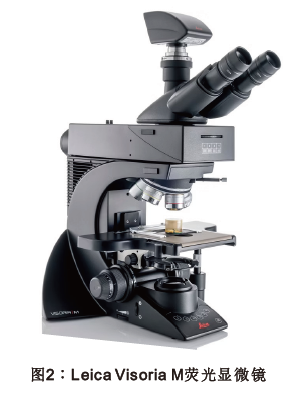 兴发娱乐·(中国游)最新官方网站