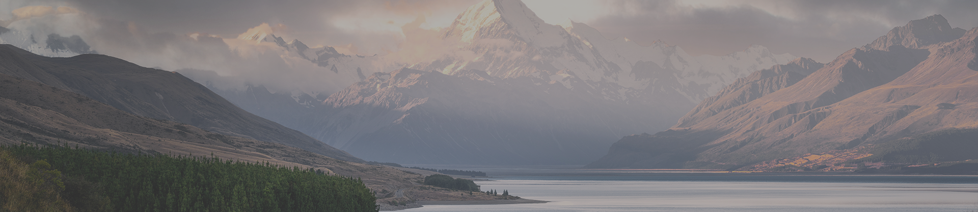 兴发娱乐·(中国游)最新官方网站