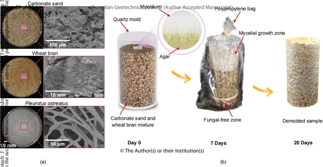 兴发娱乐·(中国游)最新官方网站